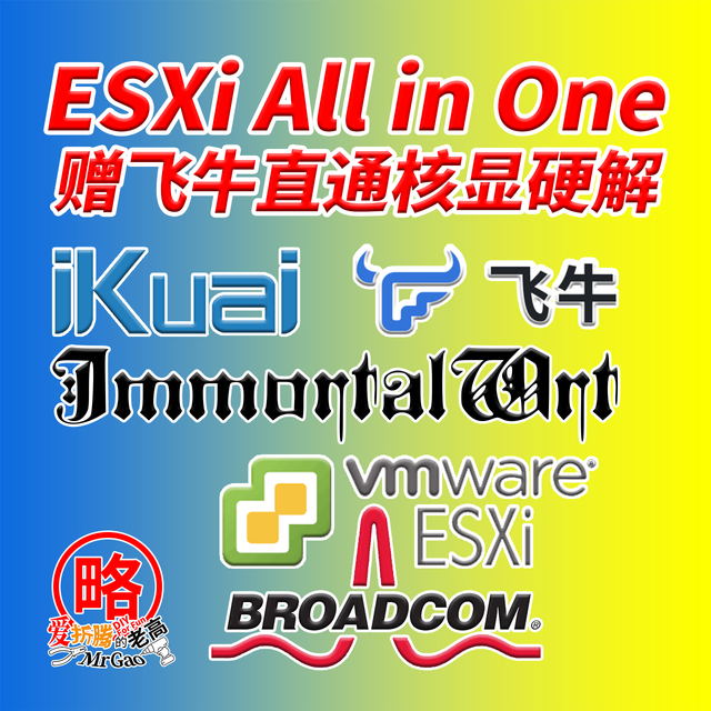 [22分钟纯享]博通永久免费版ESXi的All in One 飞牛直通核显硬解