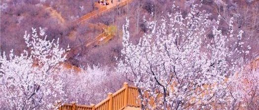 避开热闹景区，这些京郊小众秘境人少花多特别美，徒步栈道、梯田花海，带娃郊游正当时！