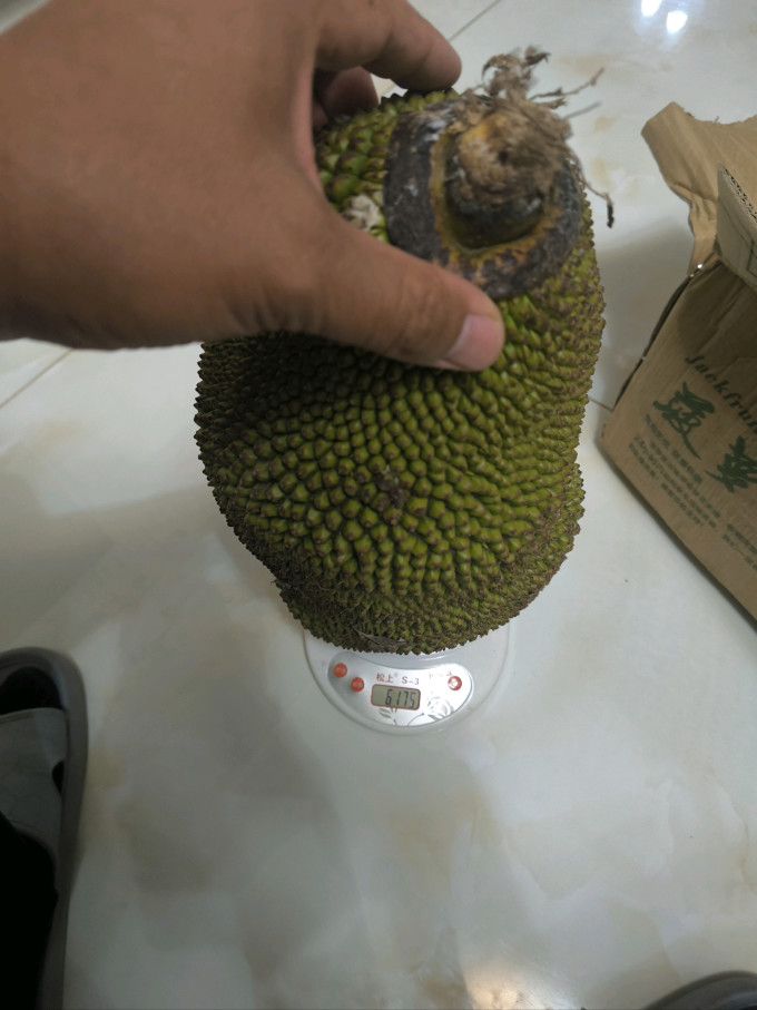 鲜贡园新鲜水果