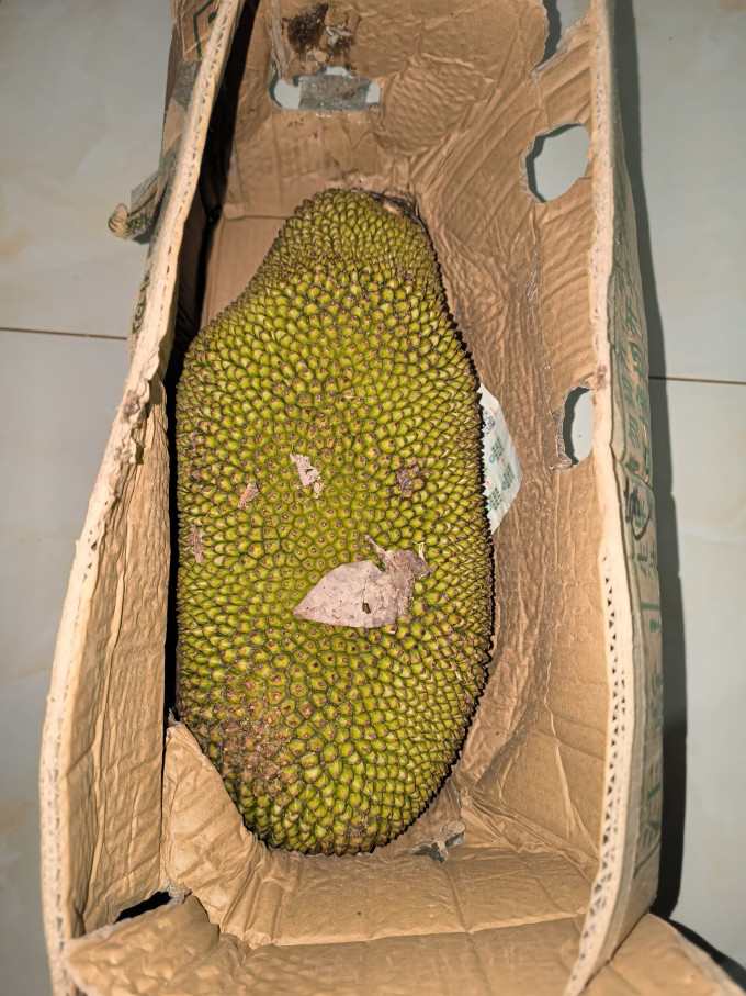 鲜贡园新鲜水果