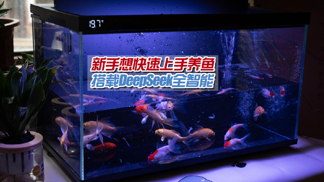 新手懒人必备！智能鱼缸养鱼超简单