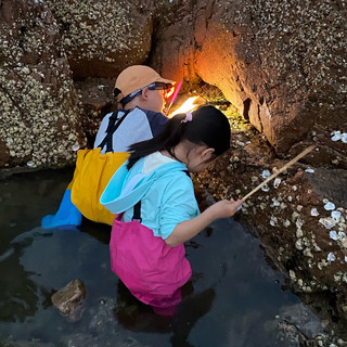 “麻麻，我能开始挖了吗？”—儿童赶海挖沙装备