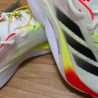 阿迪达斯 Adizero Boston 12，兼顾速度与稳定的训练伙伴​