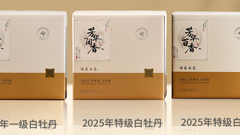 2025年新茶福鼎白茶白牡丹