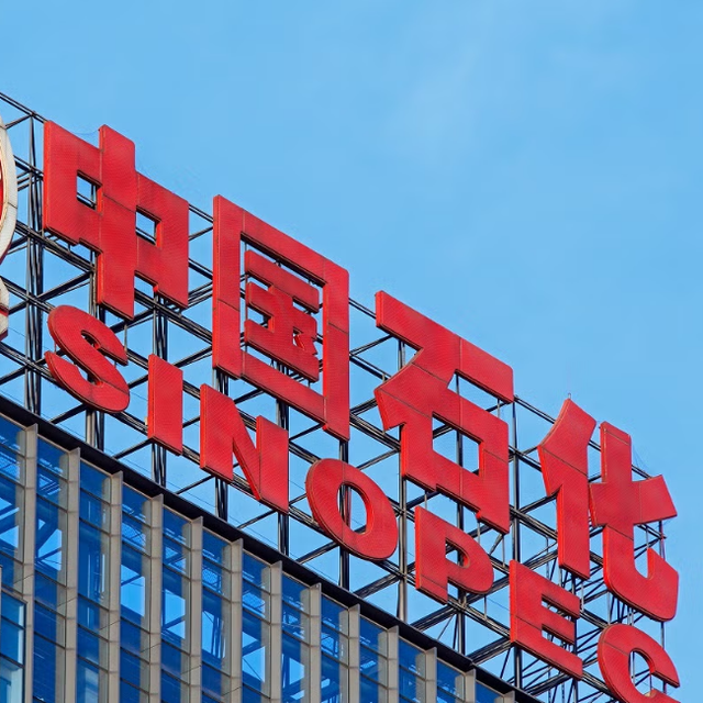 拿国家补贴最多的车企是谁？比亚迪、长城、上汽