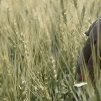 从“吃不饱”到“少吃点”，中国人的饮食经历了什么？