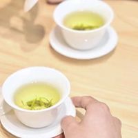 实测数据碧潭飘雪小蓝罐对张一元茉莉花,谁才是品味之选各有特色