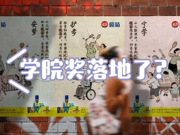 今年榄菊专题