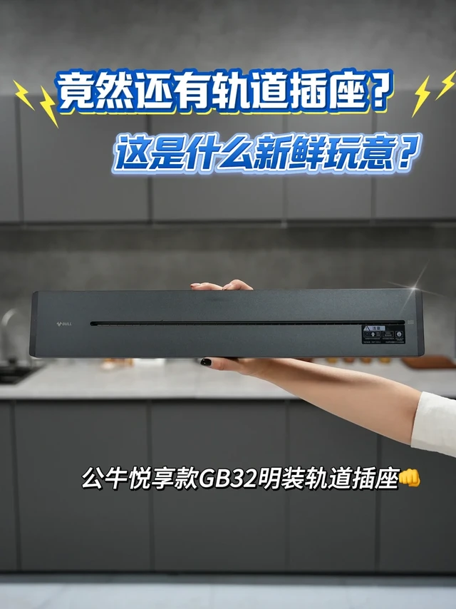 竟然还有轨道插座？这是什么新鲜玩意？