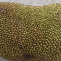  甜蜜炸弹来袭！这颗