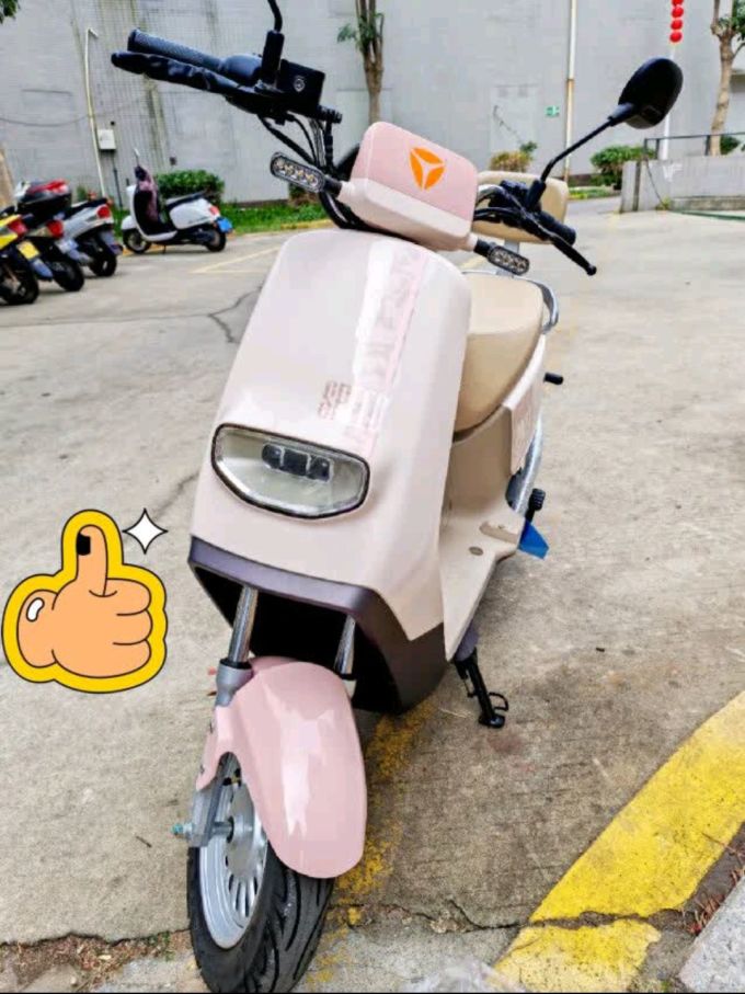 雅迪电动车整车