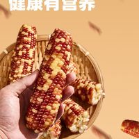 金沃瑞丰有机彩糯花玉米棒是个好选择