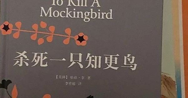 《杀死一只知更鸟》：在偏见与谎言中，守护良知的火种