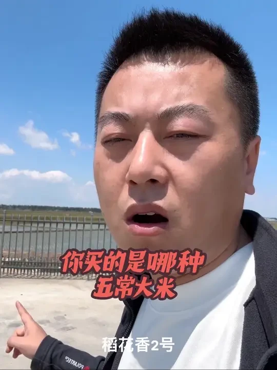 你买的是哪种五常大米
#五常大米 #稻花香大米 #五常大米稻花香
