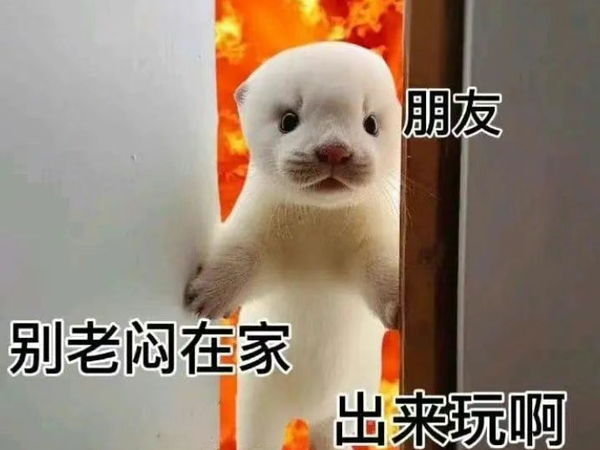 有没有什么平价的防晒衣推荐？