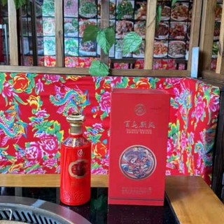 百鳥朝鳳 WULIANGYE 500ml WULIANGYE 五粮液百鸟朝凤蓝钻浓香型白酒礼盒52度500ml*2瓶送礼