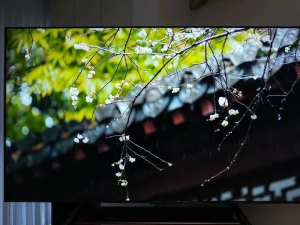 2025年电视怎么选?HVA+低反屏双技术分析丨雷鸟鹤7 Pro 25款98吋真实分享