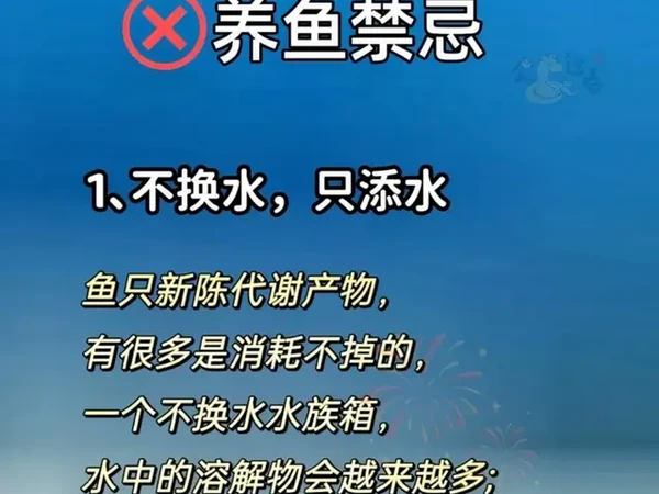 9个养鱼老司机都在用的省钱绝招
