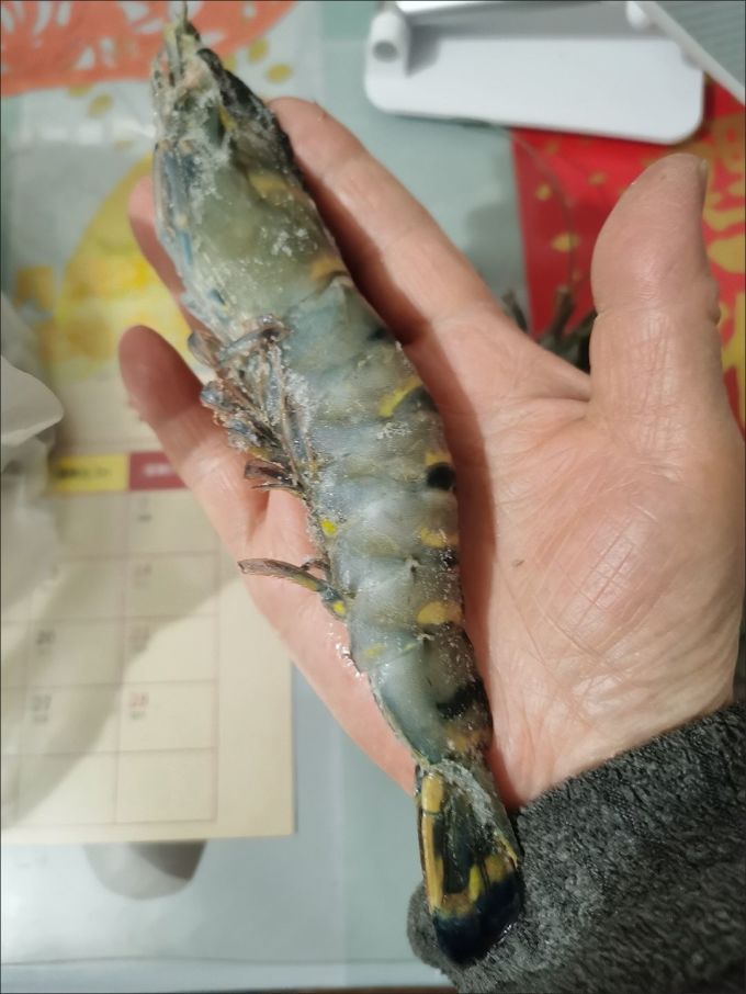 鲜京采虾类