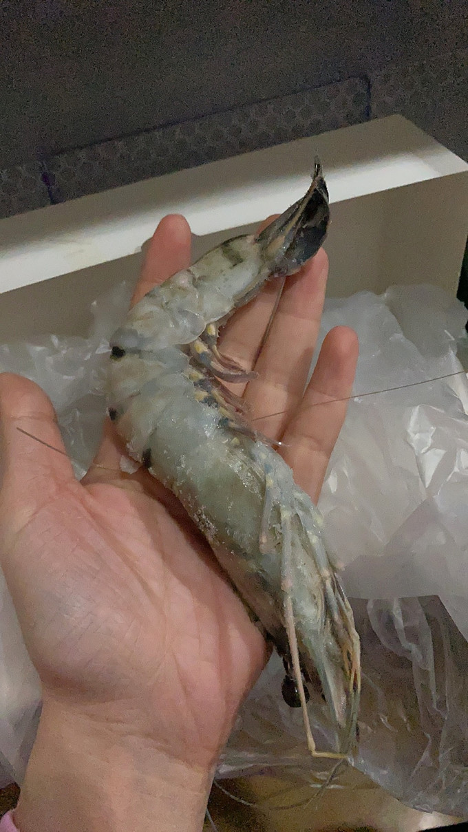 鲜京采虾类