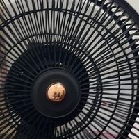 我挖到了618品质宝藏，老牌钻石落地扇陪我过夏天