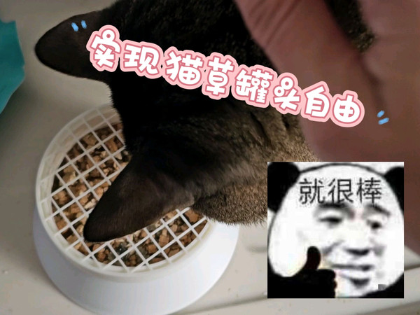 低成本实现猫草罐头自由