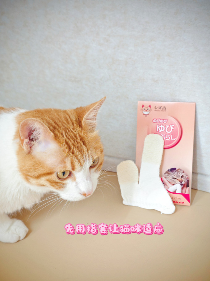 宠物用品
