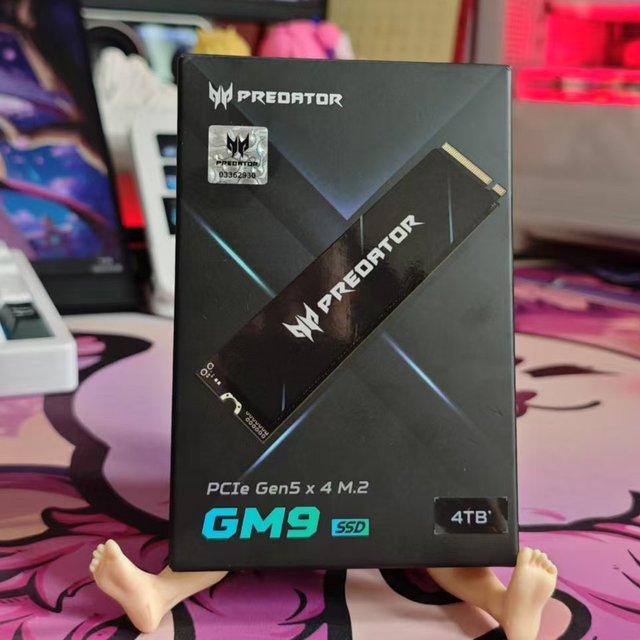 PCIe5.0固态新宠！最佳性价比的选择——宏碁掠夺者GM9