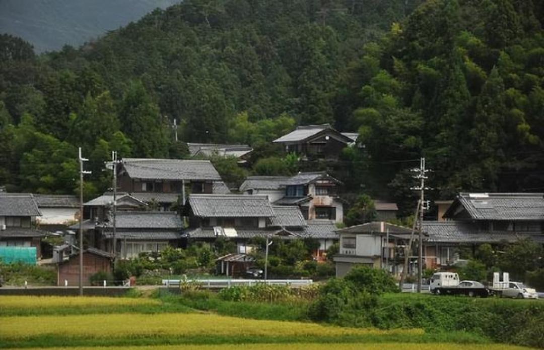 日本高密度人口与独栋住宅并存之谜：地理制约、文化基因与政策设计的三角平衡