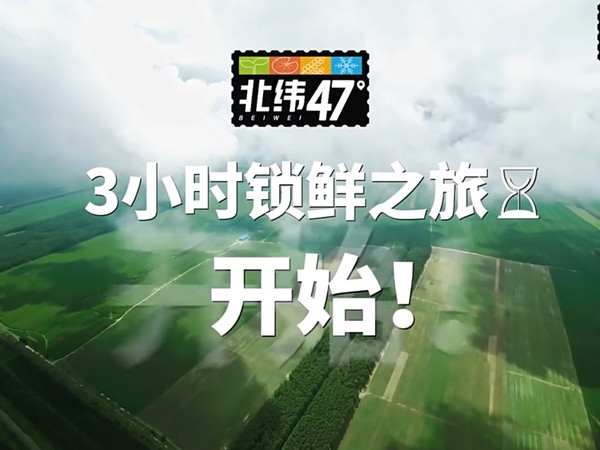 北纬47旗舰店玉米：黄金产地还是营销噱头？