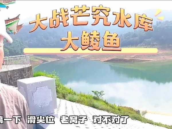 继续大战 芒究水库大鲮鱼 #野钓 #夜钓 #出发吧伟大的钓手 #鲮鱼 #沃鼎王者神剑三代