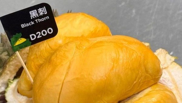 最好吃的榴莲品种是哪个？猫山王、黑刺、竹脚、金凤，还是松鼠王？