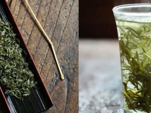 明前压轴、花果香之王!2025头春头采、纯手工匠人制茶《碧螺春》49元尝鲜来袭!