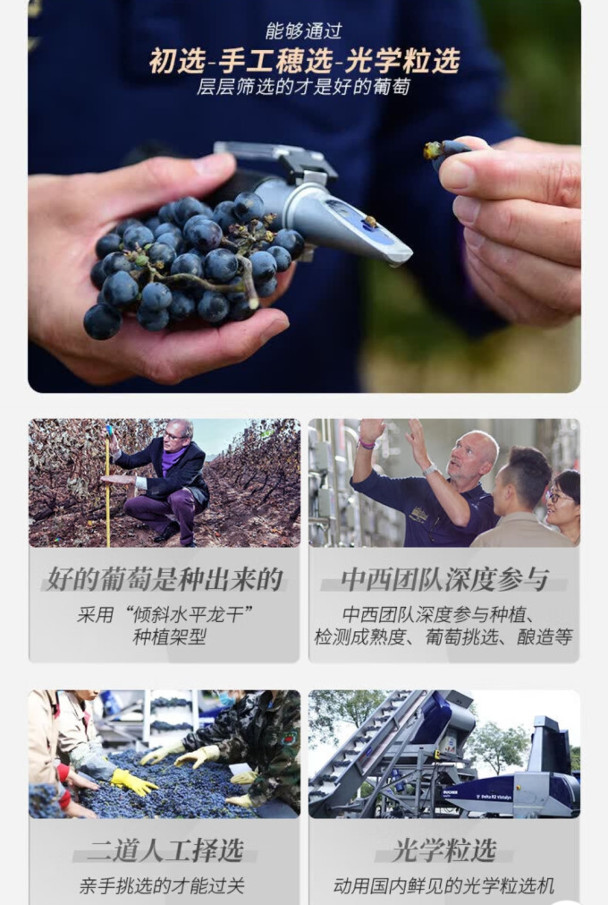 张裕红葡萄酒
