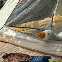 🌿出来露营吗？端午快到了提前下单清单