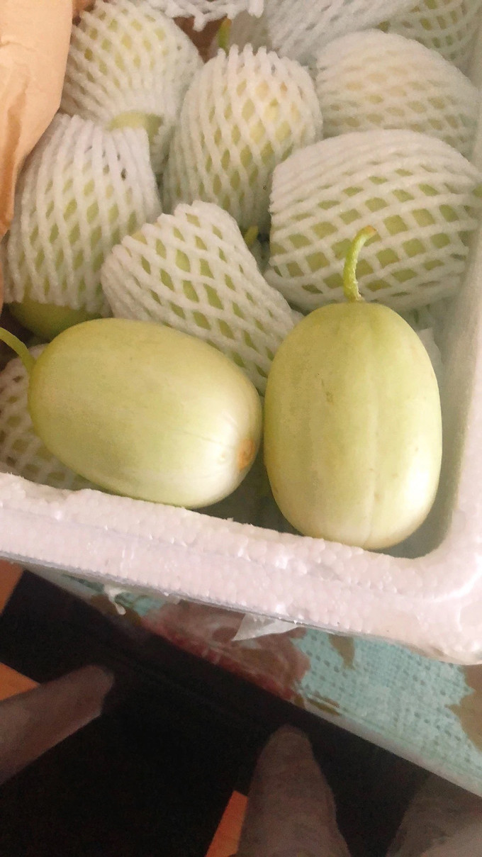 千园九味蔬菜