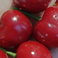 樱桃飘香的季节