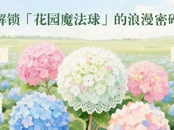 【繁花计划 | 园艺手札】绣球花境：解锁「花园魔法球」的浪漫密码