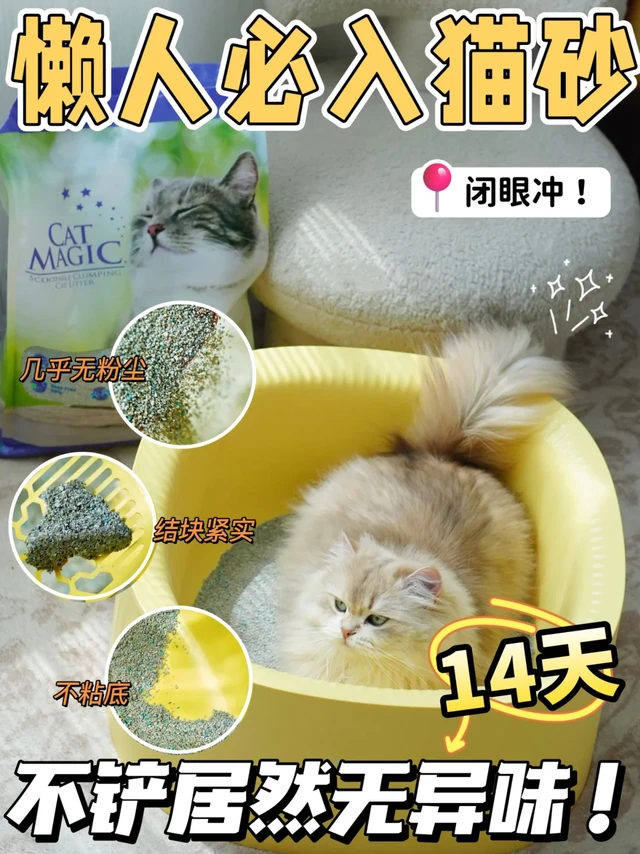 懒人必入猫砂，14天不铲居然无异味!