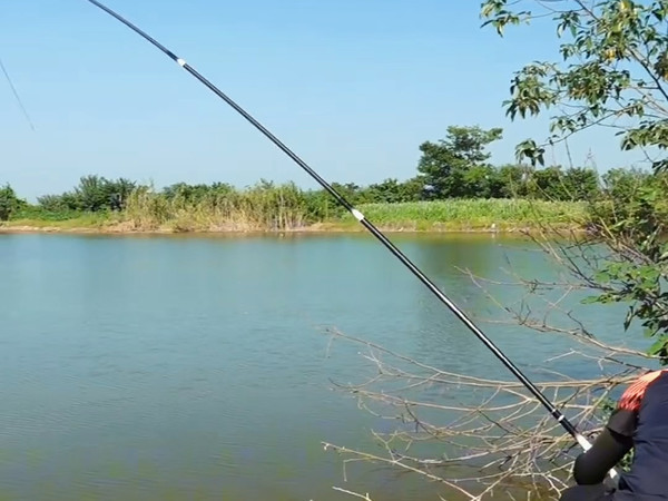 【武汉天元官方旗舰店】Up主探索中，欢迎收看求三连！