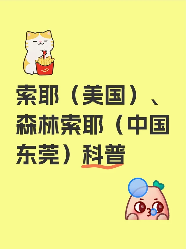 索耶、森林索耶科普