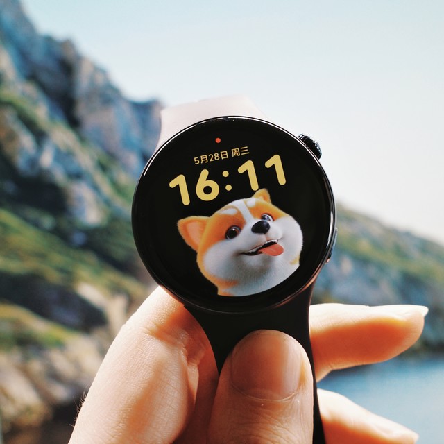 只有Apple Watch价格零头的vivo WATCH 5怎么样？