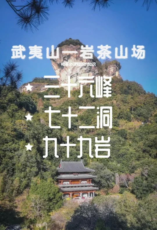 学茶笔记🖊｜36峰｜72洞｜99岩