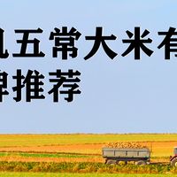 如何辨别五常大米是否有机