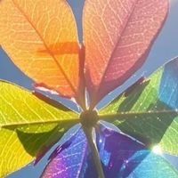 花洒哪个品牌好？618花洒推荐！让洗澡不再是一件生活琐事