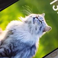 荣耀300：轻薄时尚与护眼屏