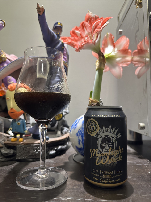 月光女巫 酸世涛啤酒
