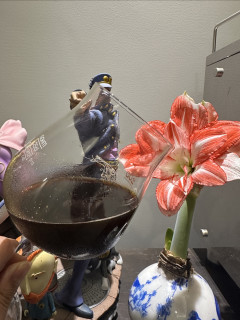 月光女巫 酸世涛啤酒