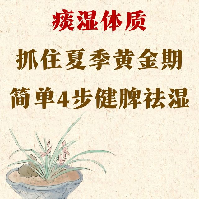 脾虚、难掉秤怎么办？4步养生法坚持2个月！