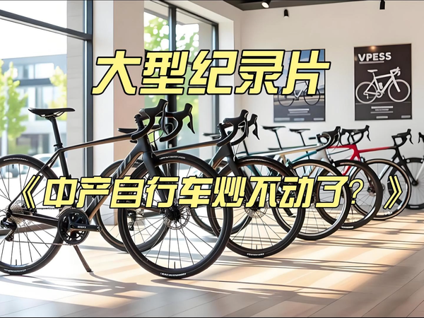 大型纪录片《中产自行车炒不动了？》